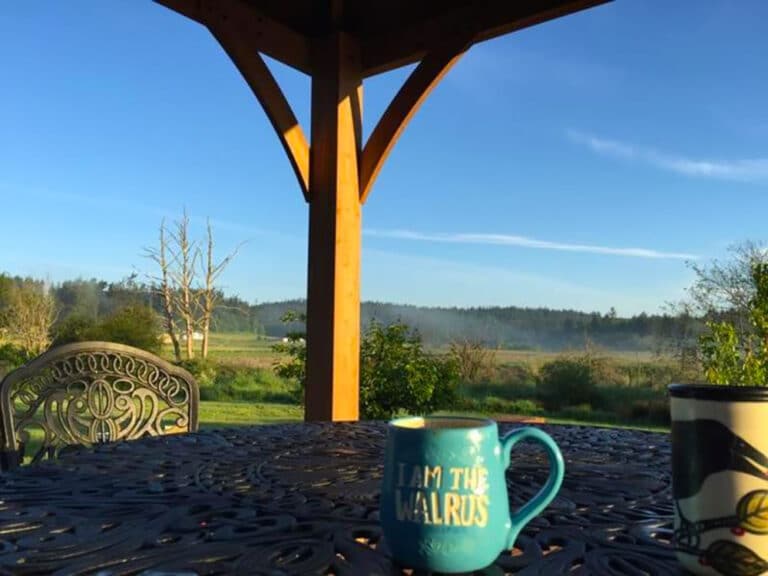 Morning coffee with a view