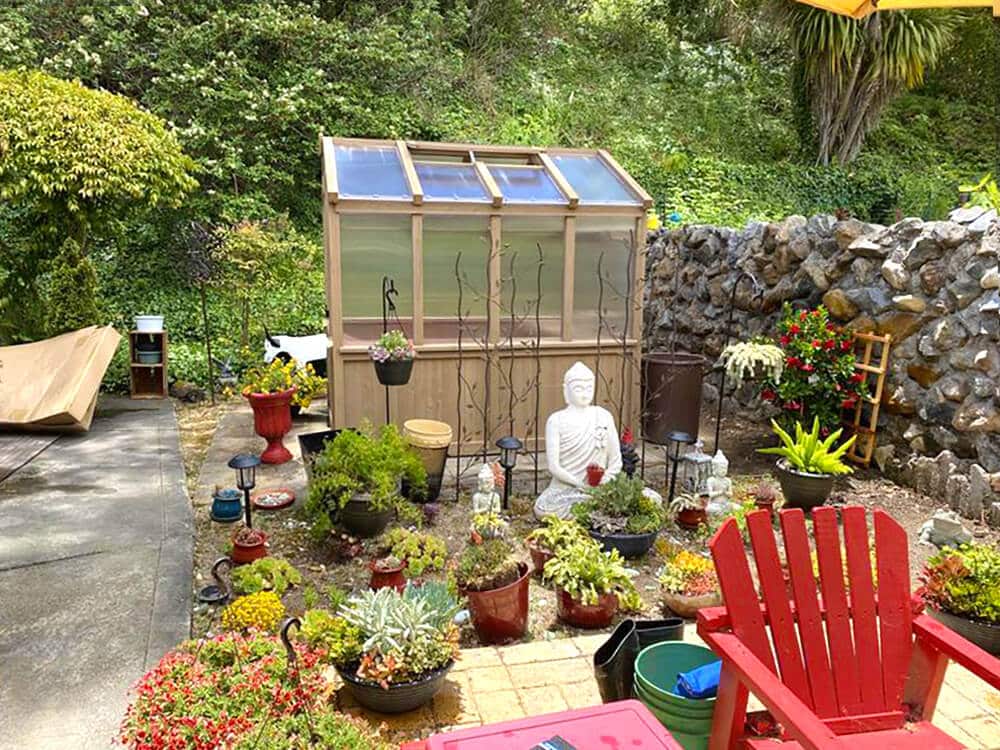 This image depicts a vibrant and densely planted backyard garden space designed for both cultivation and relaxation, featuring a small wooden-framed greenhouse as its centerpiece.

The greenhouse has a light-colored wooden base and frame with transparent panels on the sides and a sloped roof with glass or clear plastic panels. It is nestled against a stacked stone retaining wall that has a rough, natural appearance.

In the foreground and surrounding the greenhouse is an eclectic arrangement of potted plants, succulents, and small garden decorations. A prominent feature is a white statue of Buddha, seated directly in front of the greenhouse, appearing to hold a red object. Several small solar lights and decorative lanterns are scattered among the plants, along with various-sized terracotta and dark plastic pots overflowing with greenery and flowers, including red-flowering plants near the right. The ground in this central area is composed of light-colored pavers.

To the right, a bright red Adirondack chair adds a splash of intense color and suggests a seating area for enjoying the garden. A large, yellow umbrella canopy is partially visible at the top right, providing shade. The garden area is edged by a concrete or paved walkway on the left.

The background is dominated by a lush, natural landscape of dense green trees and shrubs, emphasizing the tranquil and secluded atmosphere of this creative outdoor retreat. The space is richly detailed, reflecting a dedication to gardening and outdoor meditation.