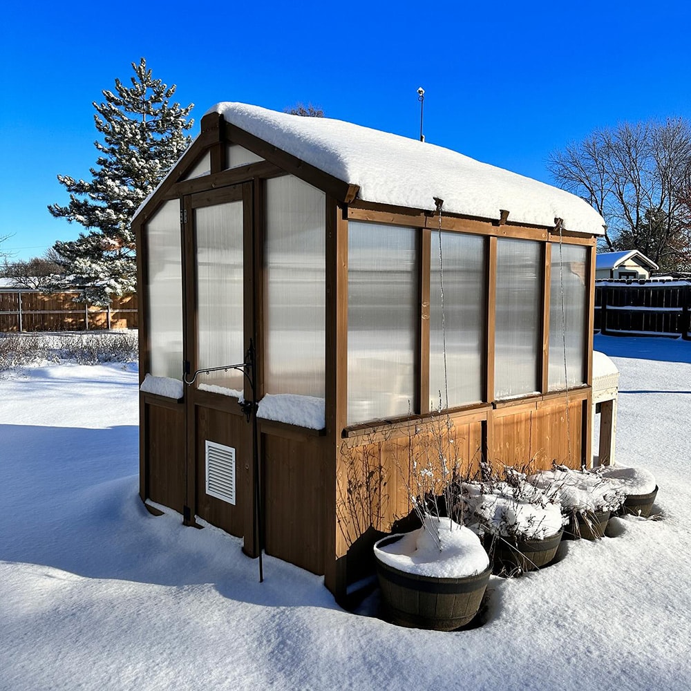 This image features a small, wooden-framed greenhouse or shed covered in snow, set in a sunny winter landscape.

Here is a detailed description:

Structure: A small, standalone structure with a traditional pitched (gable) roof.

Lower Section: The bottom half is constructed with solid brown wood panels, giving it a sturdy base. There is a ventilation grille visible on the front.

Upper Section/Walls: The upper section of the walls and the door are made of large panels of translucent material (likely polycarbonate or thick plastic sheeting), allowing light through while providing insulation.

Roof: The roof is completely covered in a thick layer of fresh, white snow.

Setting:

Weather: The scene is bright and sunny under a clear vibrant blue sky.

Ground: The ground is covered in a deep layer of snow.

Plants: A few wooden barrel planters containing dormant or dead plants are partially buried in the snow next to the structure.

Background: A tall pine tree dusted with snow is visible on the left, and a dark wooden privacy fence and residential structure are visible in the background.

The image beautifully captures a cozy, functional backyard structure enduring a cold, clear winter day.
