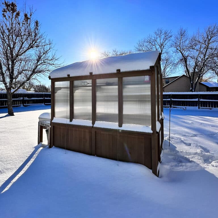 A Greenhouse for all Seasons!