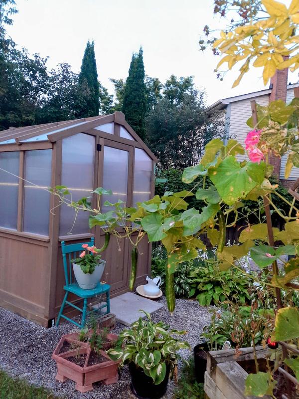 What are the benefits of owning a greenhouse?