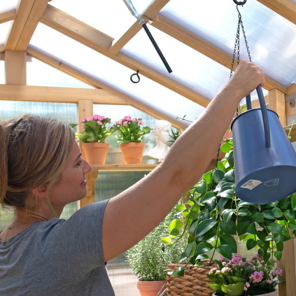 This close-up image captures a woman tending to plants inside a bright wooden-framed greenhouse or sunroom.

The woman, seen in profile from the torso up, is wearing a simple gray t-shirt. Her blonde hair is pulled back, and she is focused on her task. She is extending her right arm upwards, holding a dark blue metal watering can by its handle. The watering can is currently hanging from a hook on a chain suspended from the ceiling structure.

The structure of the space features light-toned wooden framing and translucent roof panels, allowing a large amount of bright, diffused sunlight to enter. A black arm mechanism for opening a roof vent is visible near the top.

The greenhouse is filled with various plants and gardening elements. In the middle ground, there is a wooden shelf holding several terracotta pots containing pink-flowering plants (likely Kalanchoe). To the right, a large, leafy green hanging plant cascades down, and several more potted plants, including some with pink flowers and herbs, are arranged in the foreground and on the floor. A white plaster bust or statue is partially visible on the shelf, adding a decorative element. The image conveys a sense of peaceful gardening and care within a sunlit, dedicated growing space.