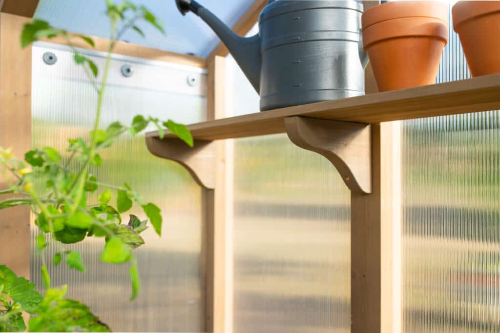 This highly detailed, close-up photograph offers an intimate view into the interior of a meticulously maintained, wooden-framed greenhouse. The entire structure is bathed in bright, soft light, which is effectively diffused by the vertically corrugated, translucent polycarbonate panels used for the walls and possibly the roof, creating a uniform, ideal environment for cultivation. The robust framework is constructed from light-colored, naturally finished or lightly stained wood, featuring sturdy vertical posts connected by cross-members. The connection points are secured with visible metallic hardware, adding a subtle industrial touch to the natural wood aesthetic.

The mid-section of the image is dominated by a neatly installed wooden shelf, strategically placed to maximize vertical storage and workspace. This shelf is a defining structural element, supported by elegantly designed, curved wooden corbels that attach seamlessly to the vertical posts below. The shelf holds essential, everyday gardening tools. Prominently featured on the left is a large, high-capacity watering can, molded from slate-grey plastic, its practical design ready for use. Balanced against the grey utility of the can are two classic, empty terracotta clay pots on the right, their warm, burnt-orange color offering a beautiful traditional contrast against the light wood.

Filling the left foreground is a flourishing young plant, likely a vigorously growing tomato seedling. Its bright, lively green foliage and delicate stems reach out towards the light, showcasing the successful growth facilitated by the greenhouse environment. The leaves occupy the front plane, providing a natural, organic counterpoint to the straight lines and manufactured materials of the structure. The composition emphasises the blend of natural growth and organised human effort, presenting a clean, focused, and tranquil workspace dedicated to nurturing healthy plants.
